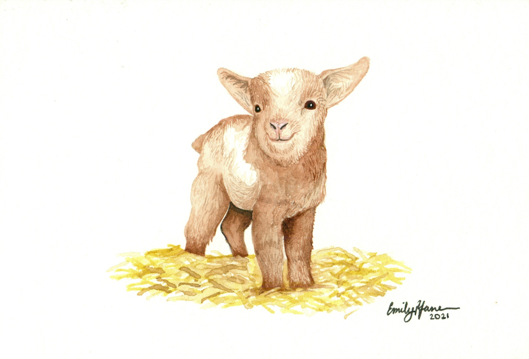 Watercolor of a baby goat standing on straw